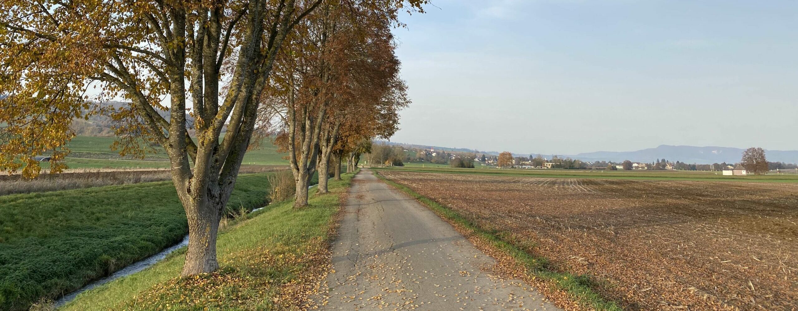 Permalink auf:Mach dich auf den Weg, und durchziehe das Land nach allen Richtungen, denn dir will ich es geben!